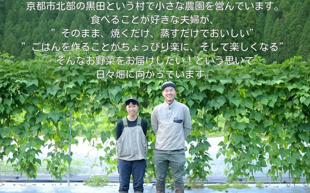 ＜定期便6回＞【よしだのはたけ】旬の野菜8品 やさいBOX｜京都 京北 農家直送 野菜 人気セット [ 旬のお野菜 新鮮 おまかせセット 美味しい 産地直送 野菜詰め合わせ 野菜セット 野菜定期便 人気 おすすめ ギフト プレゼント お取り寄せ 通販 送料無料 ふるさと納税 ]