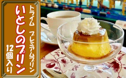 【トライム】プレミアムプリン（いとしのプリン）12個入り