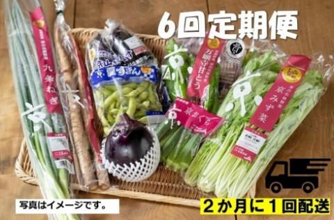 ＜6回　定期便＞【JA全農京都】２か月に１回配送！季節の京野菜セット