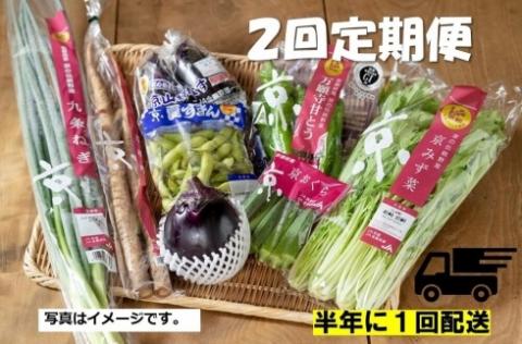 ＜２回　定期便＞【JA全農京都】半年に１回配送！季節の京野菜セット