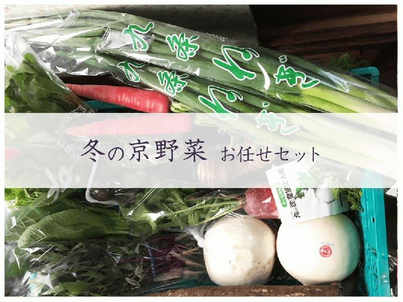 【京野菜・果物 美方屋】創業70年 美方屋厳選！季節の京野菜お任せセット