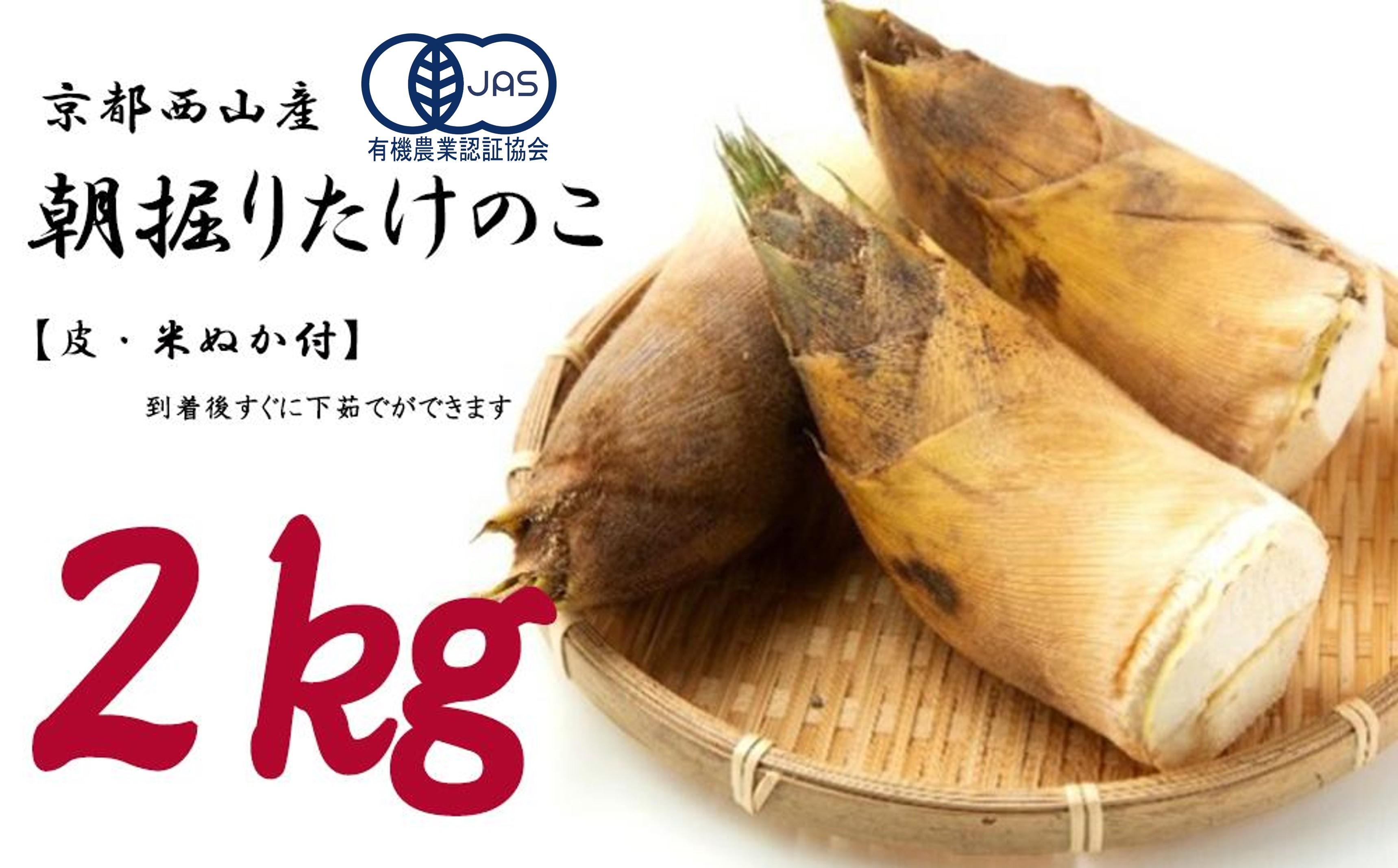 ＜先行予約＞【皮付き京都西山産】 朝掘りたけのこ ２kg（米ぬか付）【アドプランツコーポレーション】