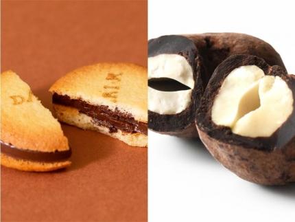 【dari K（ダリケー）】カカオサンドクッキー（ミルク）6枚入&カシューチョコ［ 京都 チョコレート カカオを通して世界を変える 人気 おすすめ ギフト プレゼント 贈答 お取り寄せ お菓子 スイーツ ］ 