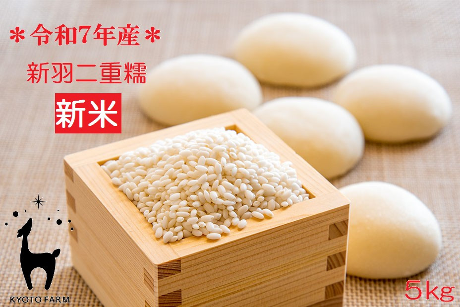 【年内配送】【京都ファーム】令和7年産 京都ファームのもち米 新羽二重糯5kg 12月発送［ 京都 京北産 もち米 人気 おすすめ 米 コメ おこめ お取り寄せ 通販 送料無料 ふるさと納税 ］