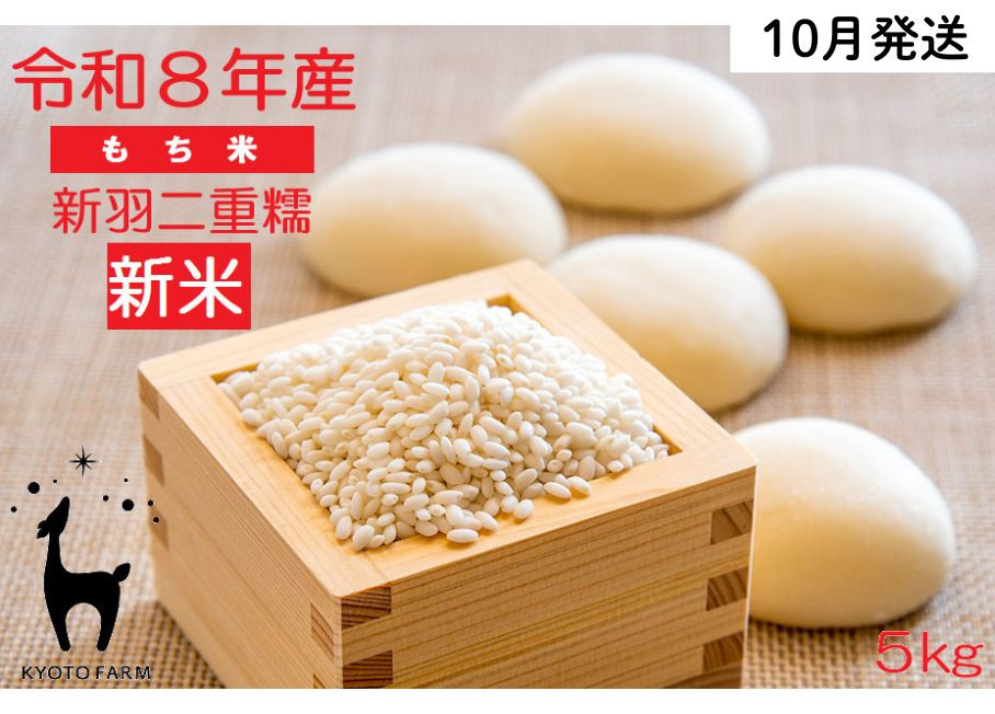 【新米先行受付】【京都ファーム】令和8年産 京都ファームのもち米 新羽二重糯5kg 10月発送 | 京北 人気 米 ［ 京都 京北産 もち米 人気 おすすめ 米 コメ おこめ お取り寄せ 通販 送料無料 ふるさと納税 ］