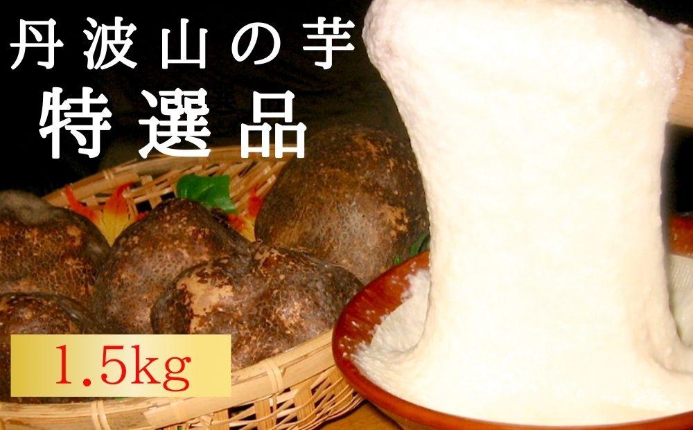 【芋家なか吉】プレミアム丹波山の芋特選品1.５kg［ 京都 芋 いも イモ 新鮮 野菜 人気 おすすめ お取り寄せ 通販 ふるさと納税 ］