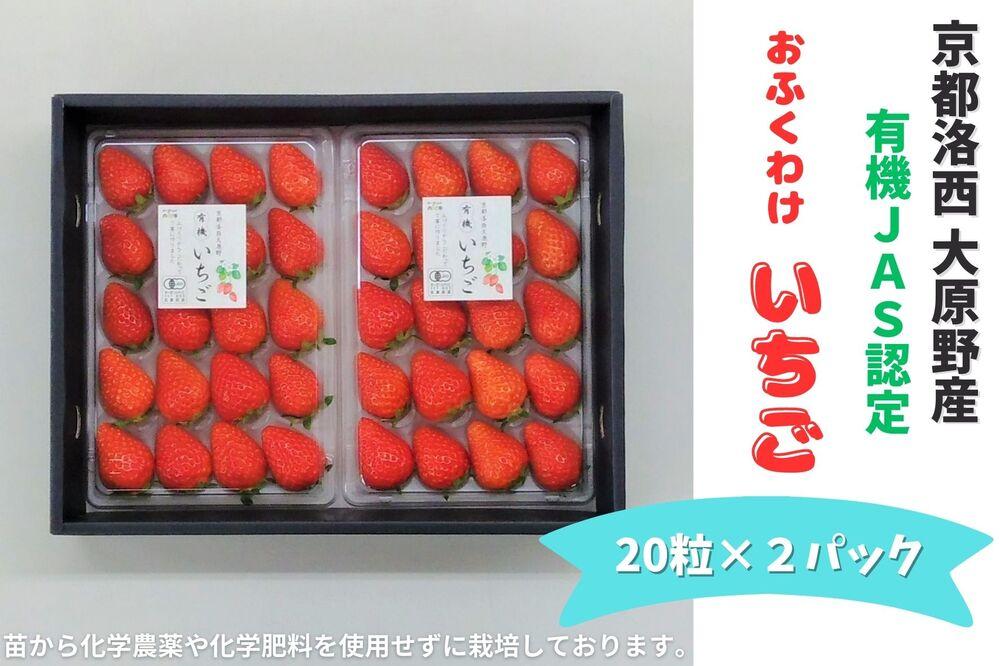 ＜予約受付＞【オーガニックnico】おふくわけいちご　＜京都洛西大原野産　有機JAS認定＞［ 京都 有機 JAS認定 オーガニック 人気 おすすめ 果物 フルーツ お取り寄せ 通販 送料無料 ふるさと納税 ］