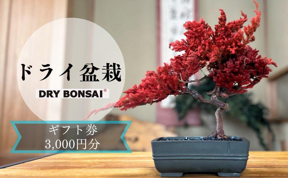 【ドライ盆栽】ギフト券 3,000円分（ワークショップ・作品購入に使用可能）
