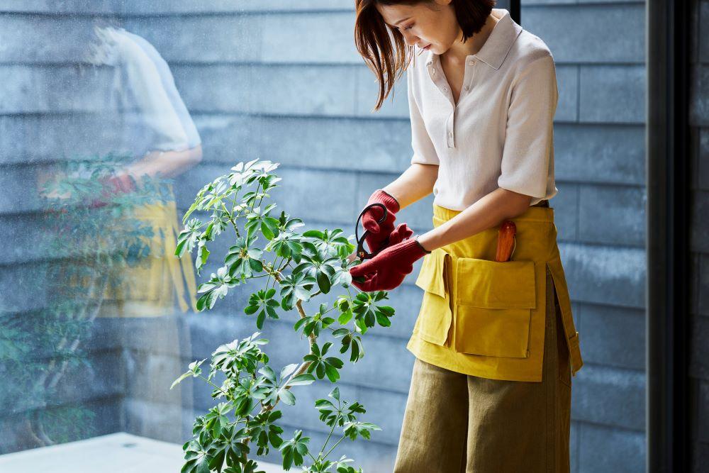 【kiten.kyoto】HANNOREN. 黄檗（KIHADA）