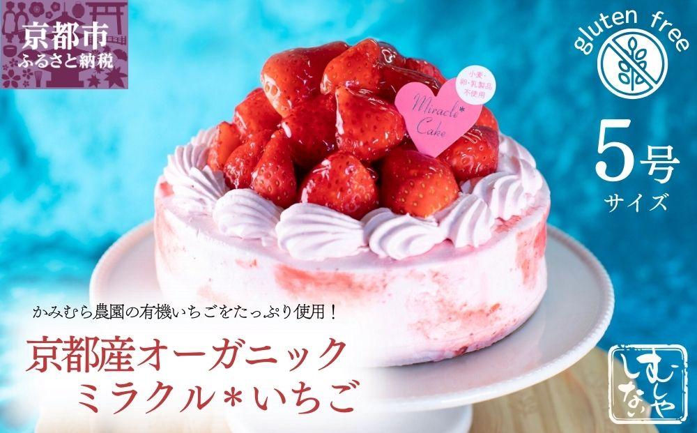 【むしやしない】京都産オーガニックミラクル＊いちご（5号）［ 京都 一乗寺 豆乳 スイーツ ケーキ グルテンフリー ヴィーガン アレルギー対応 人気 おすすめ 苺 いちご ホールケーキ お菓子 お取り寄せ 通販 ふるさと納税 ］