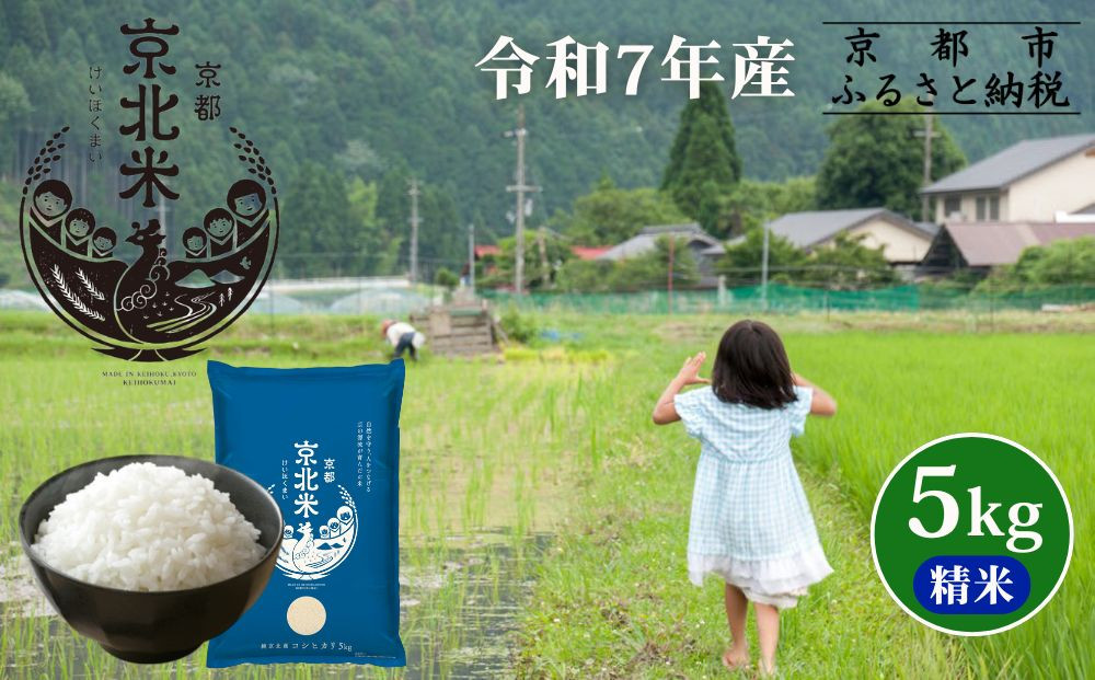 【50セット限定・新米先行受付】令和7年産 コシヒカリ 5kg 京都・京北米 精米 12～1月発送【京北水稲担い手協議会】［ 京都 京北産 コシヒカリ 先行予約 米 お米 人気 おすすめ こしひかり お取り寄せ 通販 送料無料 ふるさと納税 ］