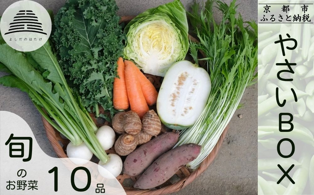 【よしだのはたけ】旬の野菜10品 やさいBOX｜京都 京北 農家直送 野菜 人気セット [ 旬のお野菜 新鮮 おまかせセット 美味しい 産地直送 野菜詰め合わせ 野菜セット 人気 おすすめ ギフト プレゼント お取り寄せ 通販 送料無料 ふるさと納税 ]