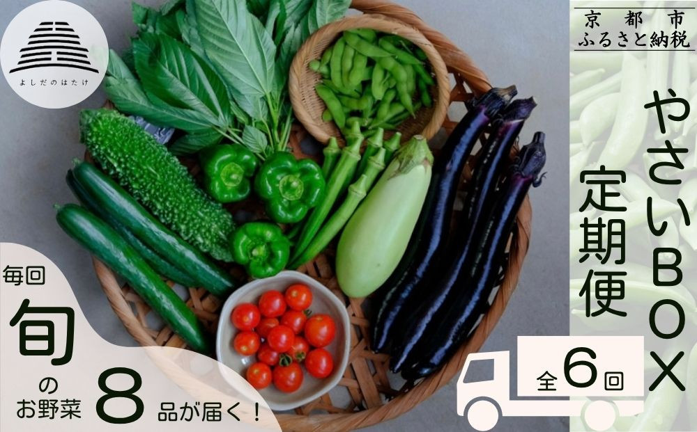 ＜定期便6回＞【よしだのはたけ】旬の野菜8品 やさいBOX｜京都 京北 農家直送 野菜 人気セット [ 旬のお野菜 新鮮 おまかせセット 美味しい 産地直送 野菜詰め合わせ 野菜セット 野菜定期便 人気 おすすめ ギフト プレゼント お取り寄せ 通販 送料無料 ふるさと納税 ]