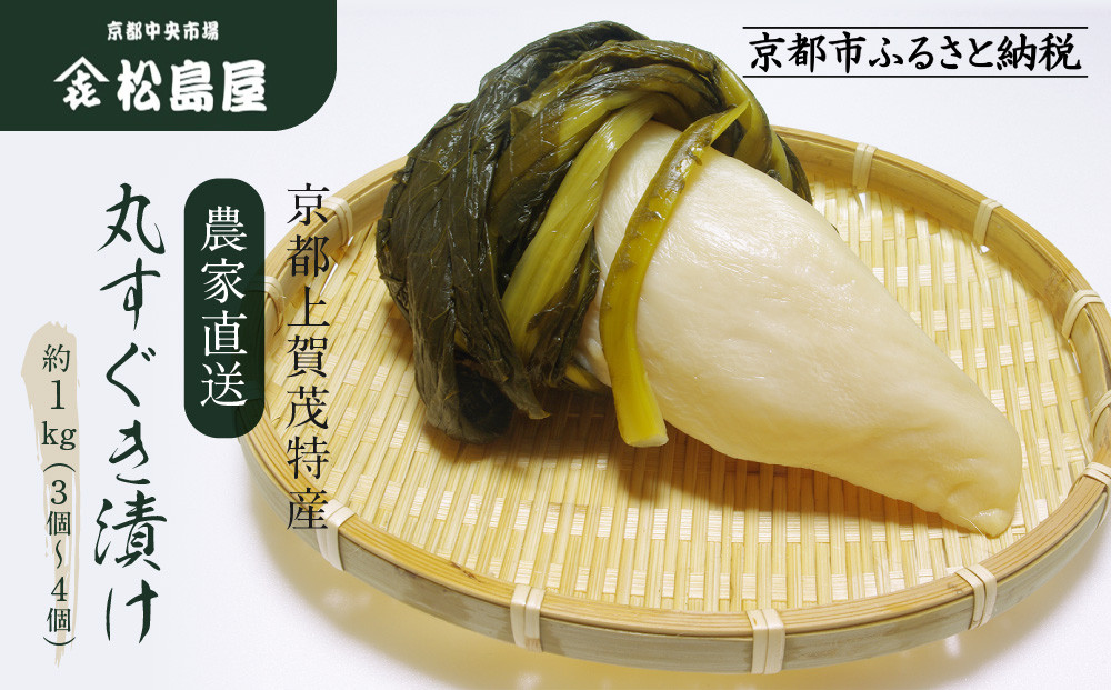 【期間限定～1/15】【松島屋】京都上賀茂特産 農家直送丸すぐき漬け1kg｜京都 老舗 すぐき漬け 大容量 人気 おすすめ［ かぶら 漬物 老舗 農家直送 野菜 京野菜 セット お土産 贈答 人気 おすすめ お取り寄せ 通販 送料無料 ふるさと納税 ］