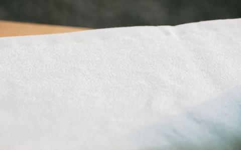 【京都府唯一のタオル製造メーカー直送】 たおる小町 ＜厚手の贅沢タオル 白フェイスタオル 10枚セット＞ ふるさと納税 たおる小町 タオル シンプル 白フェイスタオル 綿100％ 厚手 やわらか ふわふわ 便利 家庭用 普段使い 吸水性 肌触り 清潔 乾きやすい 京都府 福知山市 FCH010