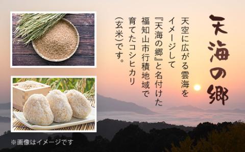 【令和6年産】福知山産コシヒカリ『天海の郷』天空に広がる天海の郷　5kg（玄米） FCCM013