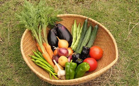 京都府福知山産 ＜旬のお野菜詰め合わせセット＞ ふるさと納税 おすすめ 旬の野菜 旬 野菜 詰め合わせ セット 農薬 肥料 不使用 京都府 福知山市 FCAM001
