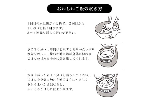 【令和6年産新米 先行予約受付】【12ヵ月定期便】京の台所 丹波・福知山産 無洗米こしひかり5kg 【姫髪の里 森成農産】【精米したてをお届け】 ふるさと納税 定期便 米 こめ 白米 お米 ご飯 ごはん 無洗米 単一米 コシヒカリ こしひかり 京都府 福知山市 FCAQ022