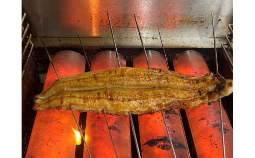 国産うなぎ と 国産牛すき わっぱ飯 セット 130g×各2個 / ふるさと納税 うなぎ 鰻 牛すき わっぱめし 京都府 福知山市 FCAW055