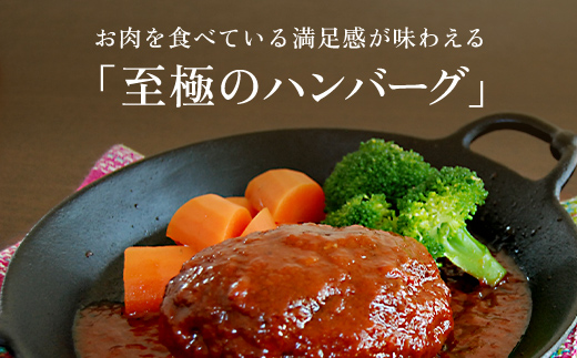 お肉ソムリエ監修! ＜A5ランク 100%黒毛和牛ハンバーグ 5個＞ ふるさと納税 人気 厳選 ハンバーグ はんばーぐ A5ランク 黒毛和牛 肉 お肉 牛肉 弁当 惣菜 冷凍 京都府 福知山市 FCAX001
