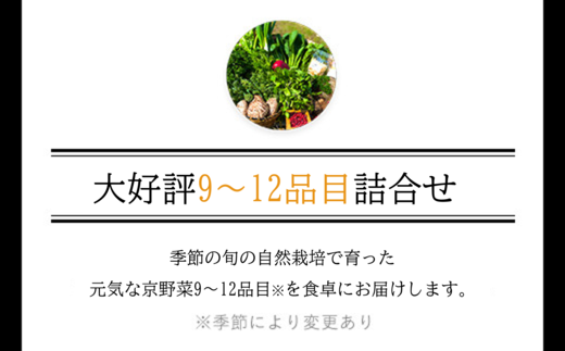 【6ヵ月定期便】 ＜鮮度抜群「京野菜」9～12品目詰合せ＞ ふるさと納税 定期便 京野菜 野菜 旬 新鮮 鮮度 自然栽培 自然農法 おいしい おばんざい 食べきり 詰合せ お取り寄せ 京都府 福知山市 FCCM019
