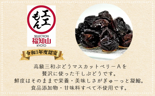 京都三和・丹波ぶどう＜マスカットベリーA>ほしぶどう（ドライ）　100g　3パック  ふるさと納税 ドライフルーツ ほしぶどう 干しブドウ レーズン ドライレーズン 三和ぶどう マスカットベリーA 100g 3パック 手作り 三和町 特産 丹波 京都府 福知山市 FCCO008