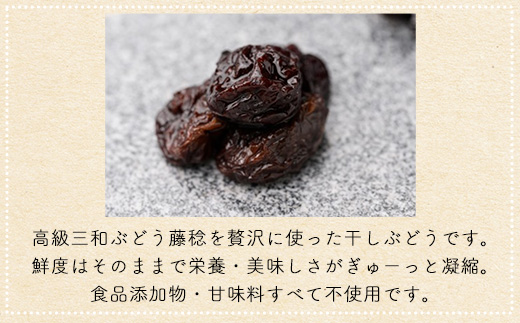 京都三和・丹波ぶどう＜藤稔>ほしぶどう（ドライ）　100g　3パック  ふるさと納税 ドライフルーツ ほしぶどう 干しブドウ レーズン ドライレーズン 三和ぶどう ふじみのり 藤稔 100g 3パック 手作り 三和町 特産 丹波 京都府 福知山市 FCCO010