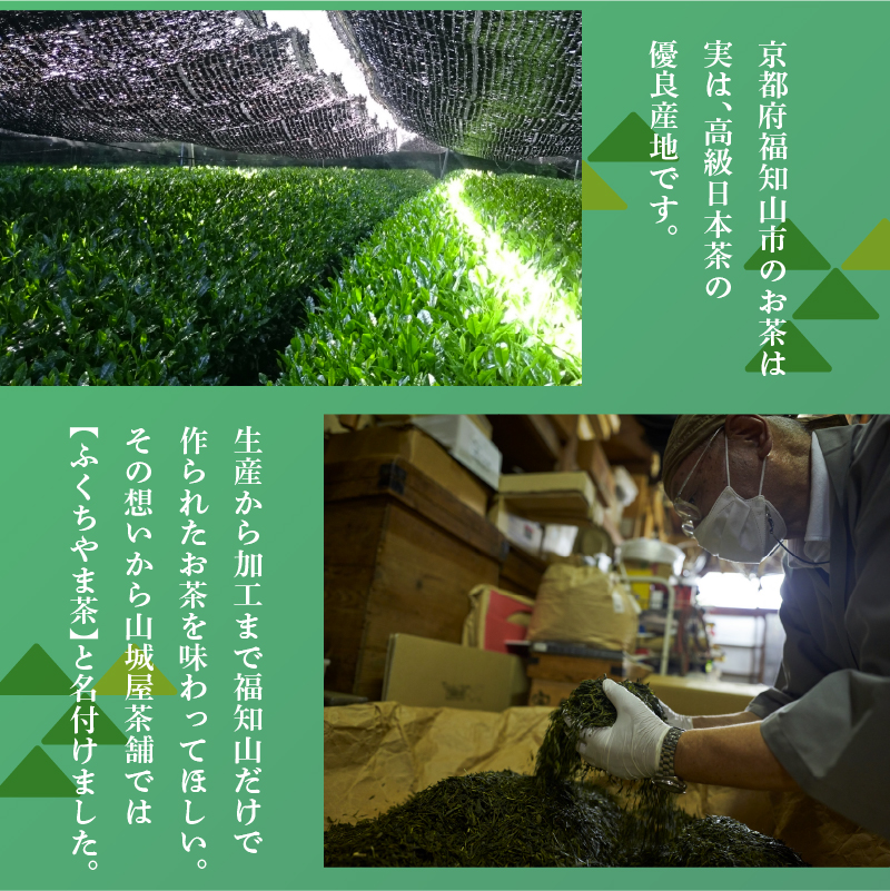 福知山産抹茶をふんだんに使った濃厚抹茶アイスバー6本セット / アイス アイスバー ふくちやま抹茶 爽やか 濃厚 抹茶味 ソルベ 棒アイス デザート 和スイーツ 福知山茶 碾茶 てんちゃ 熨斗 福知山産 福知山市 京都府 FCD008