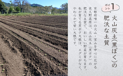 京都・夜久野高原の黒ボクで育った切干し大根140g×2袋【勝信吾のこだわり野菜】 ふるさと納税 切干し大根 切り干し大根 切干大根 切干 だいこん 大根 黒ボク大根 黒ボク 和食 野菜 夜久野高原 夜久野 勝農家 京都府 福知山市 FCDP001