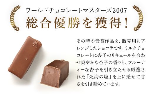 洋菓子マウンテン　杏と塩 / スイーツ 洋菓子 チョコレート ショコラ ショコラティエ 世界大会 総合優勝 ミルクチョコレート 杏 フルーティ 死海の塩 5個入 ギフト プレゼント 福知山市 京都府 FCEA001