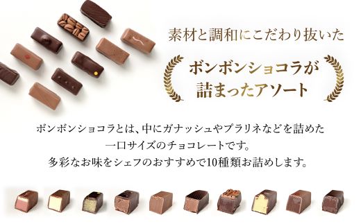 洋菓子マウンテン　コレクション / スイーツ 洋菓子 チョコレート ショコラ ショコラティエ ボンボンショコラ ガナッシュ プラリネ 一口サイズ 10個入 ギフト プレゼント 福知山市 京都府 FCEA002