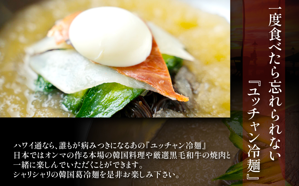 ユッチャンの参鶏湯（サムゲタン）2パック FCEO023