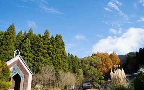 イタリアンレストランOZ　お食事券6,000円分 FCDE008