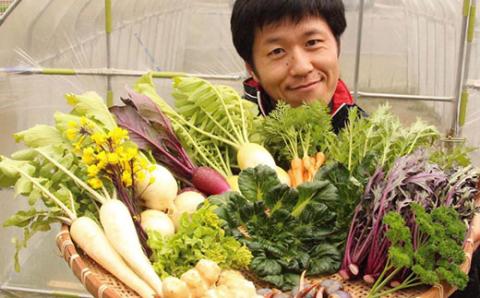 京都府福知山産 ＜旬のお野菜詰め合わせセット＞ ふるさと納税 おすすめ 旬の野菜 旬 野菜 詰め合わせ セット 農薬 肥料 不使用 京都府 福知山市 FCAM001