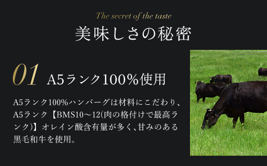 お肉ソムリエ監修! ＜A5ランク 100%黒毛和牛ハンバーグ 5個＞ ふるさと納税 人気 厳選 ハンバーグ はんばーぐ A5ランク 黒毛和牛 肉 お肉 牛肉 弁当 惣菜 冷凍 京都府 福知山市 FCAX001