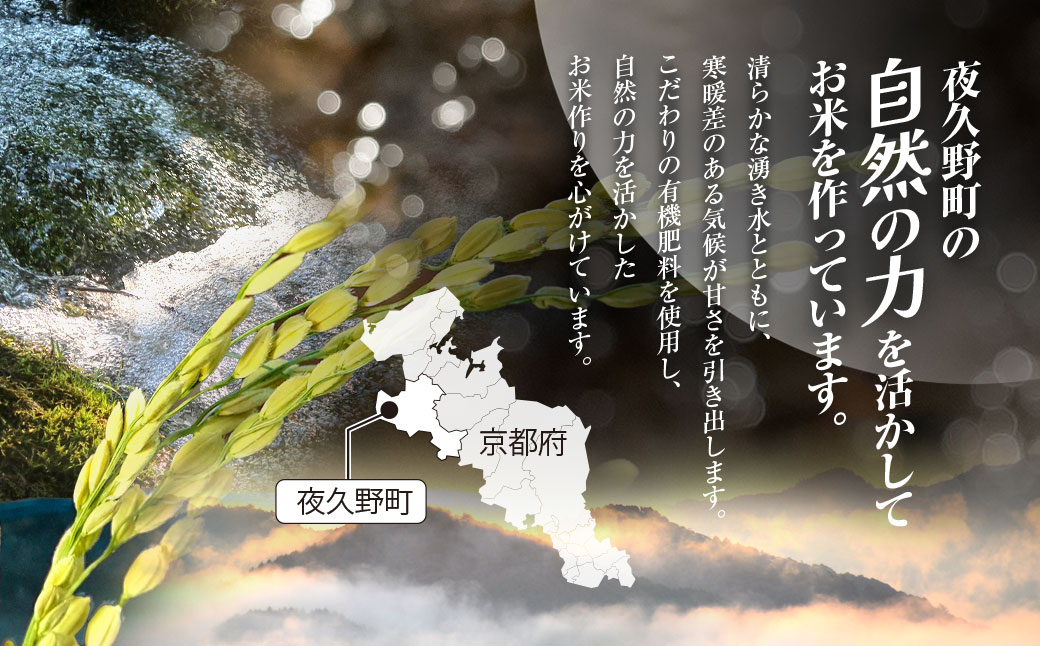 ＼＼計60kg ♪／／＜令和8年10月中旬より発送！＞【6ヶ月定期】田んぼオーナーシップ6口分　清雫　玄米10kg+黒ムラサキ（丹波黒大豆の枝豆）/ ふるさと納税 田んぼ オーナー制度 米 玄米 令和8年度産 先行 定期 10kg 6回 収穫 夜久野 京都 京都府 福知山 FCDB007