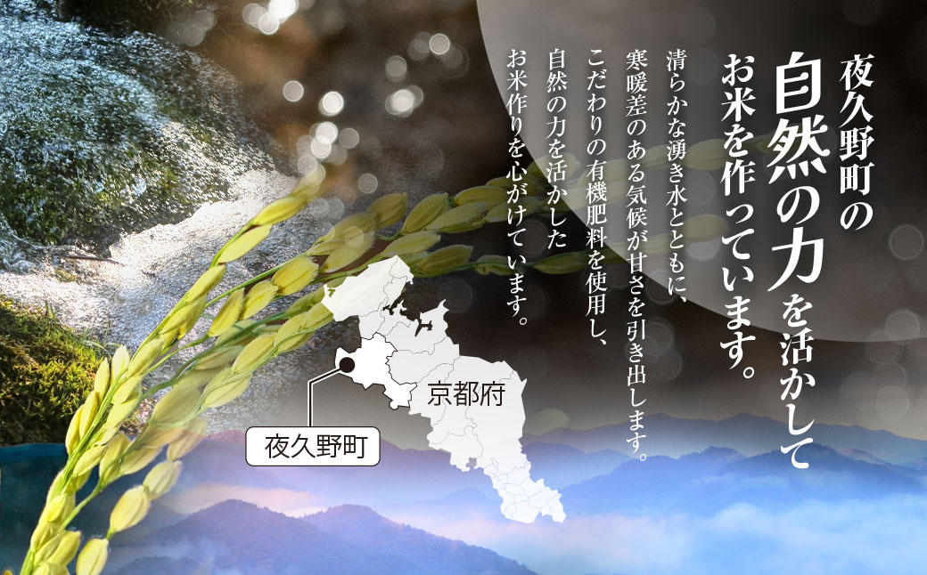 ＼＼計120kg ♪／／＜令和8年10月中旬より発送！＞【12ヶ月定期】田んぼオーナーシップ12口分　清雫　白米10kg+ムラサキ（丹波黒大豆の枝豆）/ ふるさと納税 田んぼ オーナー制度 米 白米 令和8年度産 先行 定期 10kg 12回 収穫 夜久野 京都 京都府 福知山 FCDB012