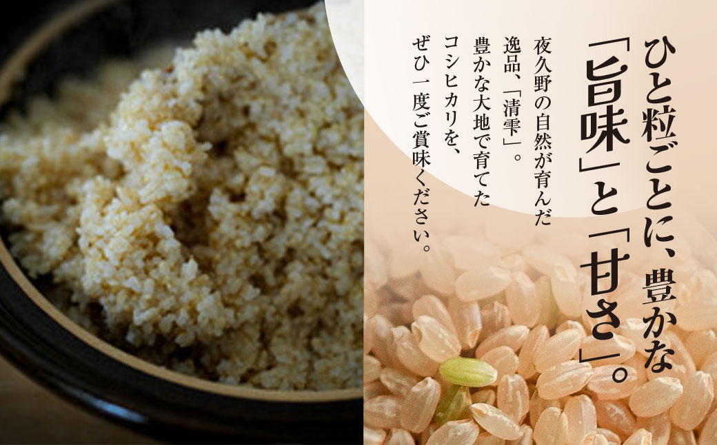 ＜令和7年9月末より発送予定！＞【12ヶ月定期便】京都夜久野産　清雫（せいな）　コシヒカリ＜玄米5kg×12回＞/ 令和7年度産 先行 定期 5kg 収穫 12回 玄米 夜久野 京都 京都府 福知山 FCDB020