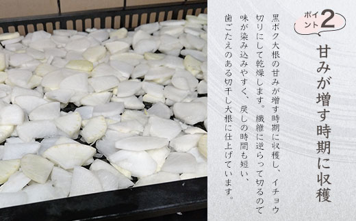 京都・夜久野高原の黒ボクで育った切干し大根140g×2袋【勝信吾のこだわり野菜】 ふるさと納税 切干し大根 切り干し大根 切干大根 切干 だいこん 大根 黒ボク大根 黒ボク 和食 野菜 夜久野高原 夜久野 勝農家 京都府 福知山市 FCDP001