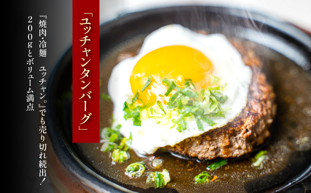 ユッチャン　タンバーグ（200g）6個　FCEO008