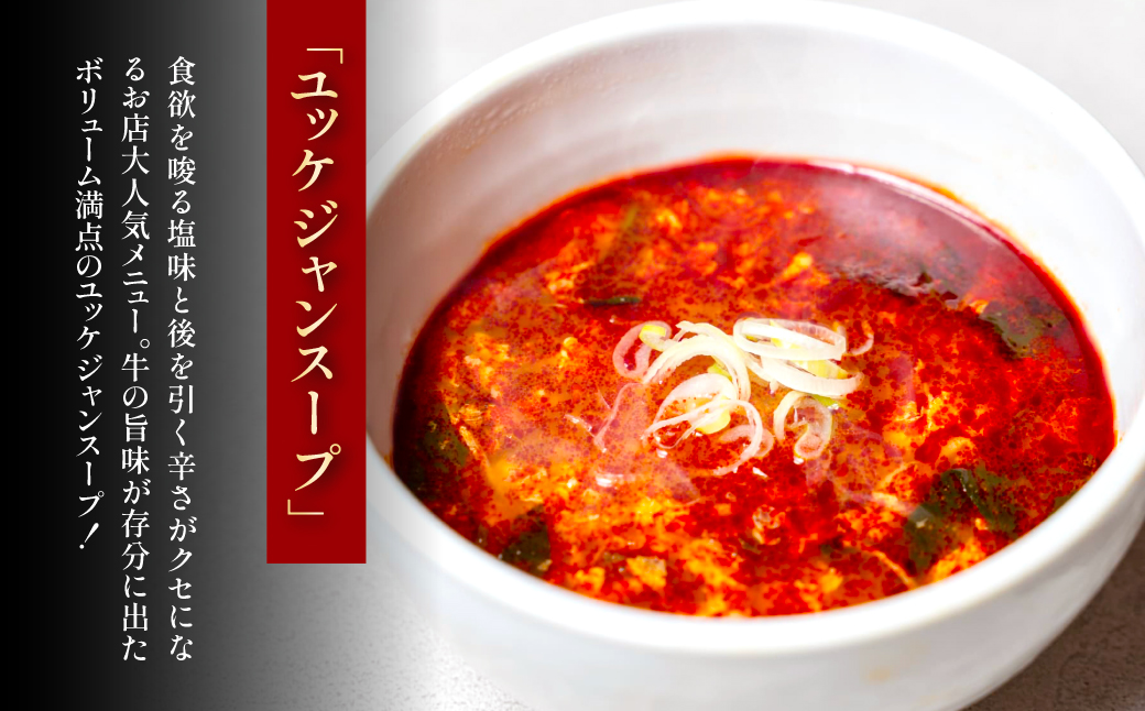 ユッケジャンスープ（500g）2パック　FCEO010