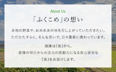【令和6年産】福知山産コシヒカリ『天海の郷』天空に広がる天海の郷　5kg（玄米） FCCM013
