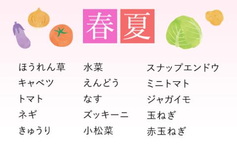 ＜鮮度抜群「京野菜」 食べきりサイズ詰合せ＞ ふるさと納税 京野菜 野菜 旬 新鮮 鮮度 自然栽培 自然農法 おいしい おばんざい 食べきり 詰合せ お取り寄せ 京都府 福知山市 FCCM002