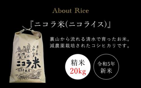 フランス人農家が丹精込めて育てた減農薬コシヒカリ　二コラ米（二コライス）令和5年度新米　精米20kg×1袋 FCCY005