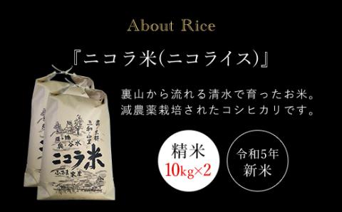 フランス人農家が丹精込めて育てた減農薬コシヒカリ　二コラ米（二コライス）令和5年度新米　精米10kg×2袋 FCCY006