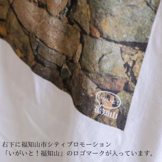 ＜福知山市公式＞福知山城の石垣Tシャツ＜ふるさと納税限定＞Lサイズ FCY003