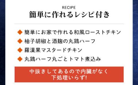 特別な日におすすめ！【京都府産 京丹波あじわいどり】 ＜丸鶏の半身 調理しやすい半身サイズ 約1kg レシピ付き＞ ふるさと納税 京丹波 鶏肉 鳥肉 とり肉 丸鶏 冷凍 レシピ付き 簡単調理 誕生日 国産 京都 福知山市 FCBK002