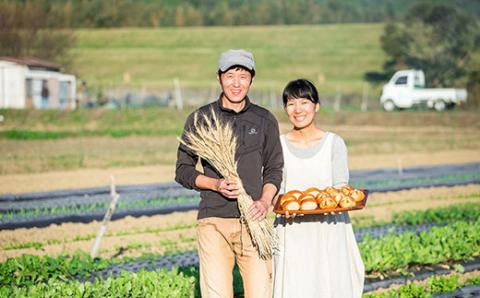 京都府福知山産 ＜旬のお野菜詰め合わせセット＞ ふるさと納税 おすすめ 旬の野菜 旬 野菜 詰め合わせ セット 農薬 肥料 不使用 京都府 福知山市 FCAM001