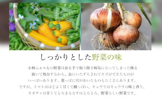 【無添加】とまとのじゅ～す(180ml×6本)新製品コンテスト大賞受賞！ FCAB001