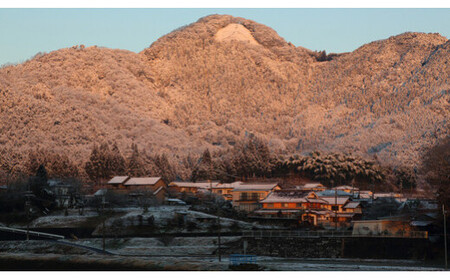 【令和6年産新米 先行予約受付】京の台所 丹波・福知山産 無洗米こしひかり5kg 【姫髪の里 森成農産】【精米したてをお届け】 ふるさと納税 米 こめ 白米 お米 ご飯 ごはん 無洗米 単一米 コシヒカリ こしひかり 京都府 福知山市 FCAQ014